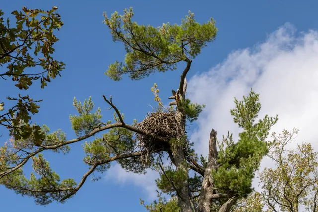 $1,750,000 | 30968 Highway 200, Laporte, MN 56461