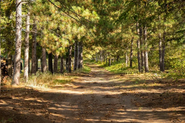 $1,750,000 | 30968 Highway 200, Laporte, MN 56461