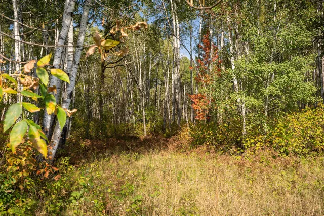 $1,750,000 | 30968 Highway 200, Laporte, MN 56461