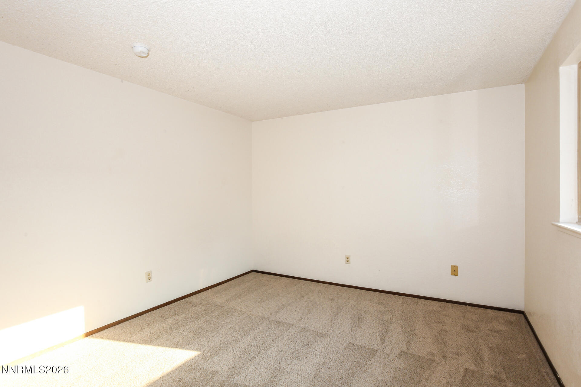 8355 Cub Court Reno, NV 89506 - Photo 11 of 18 photo_11