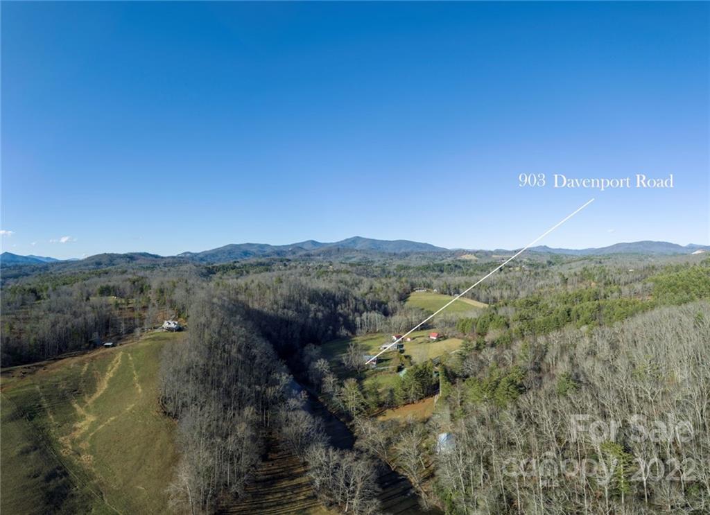 903 Davenport Road, Unit 12 Spruce Pine, NC 28777 - Photo 38 of 39 a view of a forest with mountains in the background