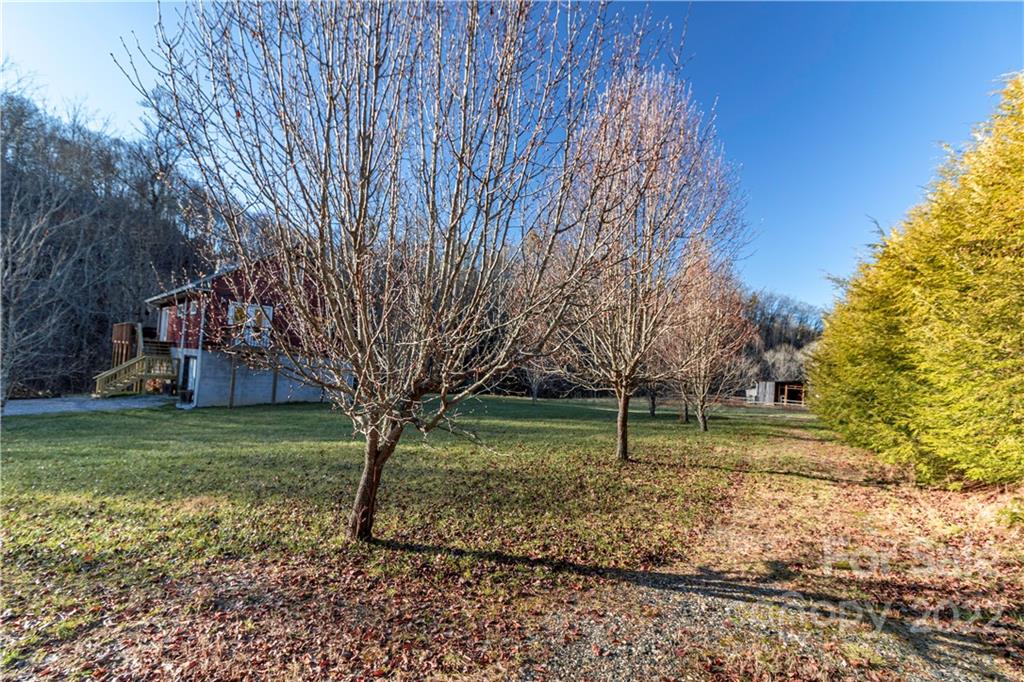 903 Davenport Road, Unit 12 Spruce Pine, NC 28777 - Photo 4 of 39 a view of a garden with a tree