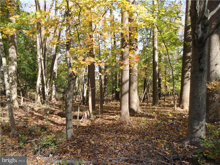 630 Red Lion Road Kennett Square, PA 19348 - Photo 5 of 6 Gallery Image 5