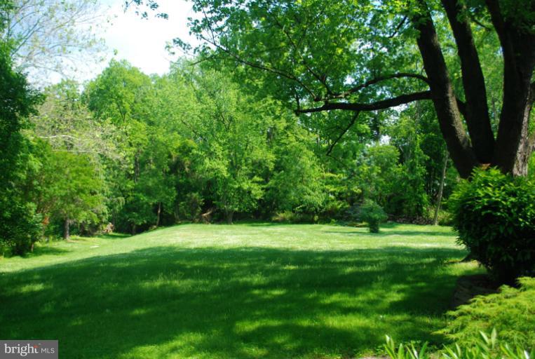 709 East Franklin Avenue Silver Spring, MD 20901 - Photo 4 of 9 a view of a grassy field with trees