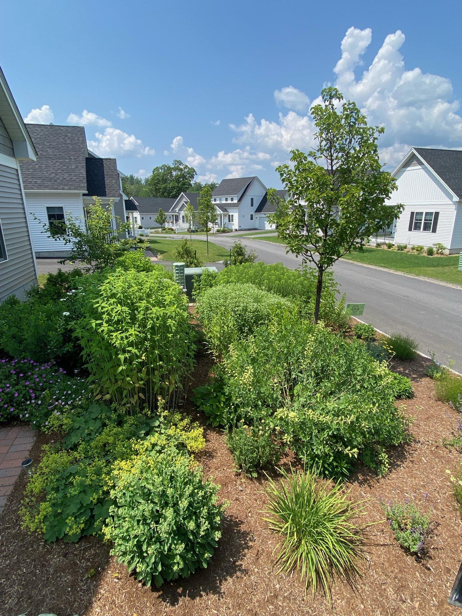 18 Church Street Peterborough, NH 03458 - Photo 43 of 46