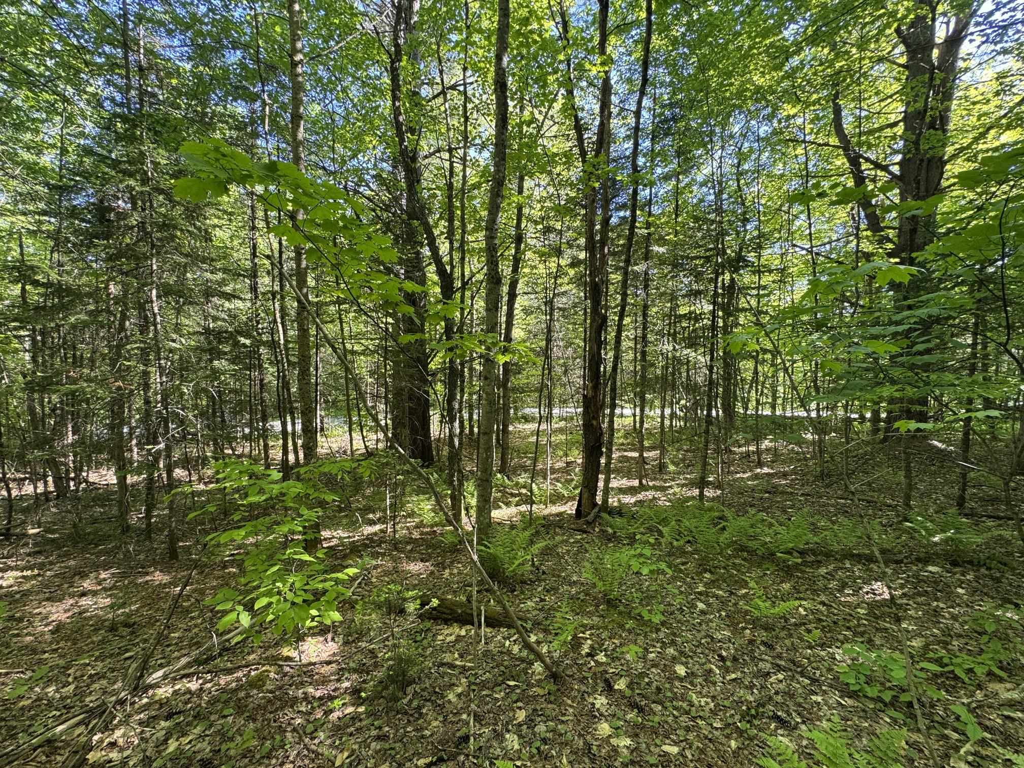 2800 Dugar Brook Road Calais, VT 05650 - Photo 8 of 12
