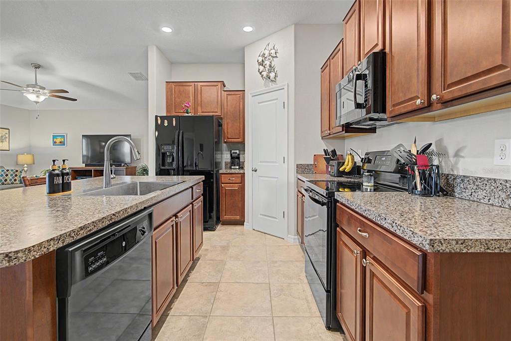 17132 White Mangrove Drive Wimauma, FL 33598 - Photo 16 of 39