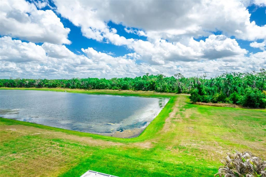 17132 White Mangrove Drive Wimauma, FL 33598 - Photo 2 of 39