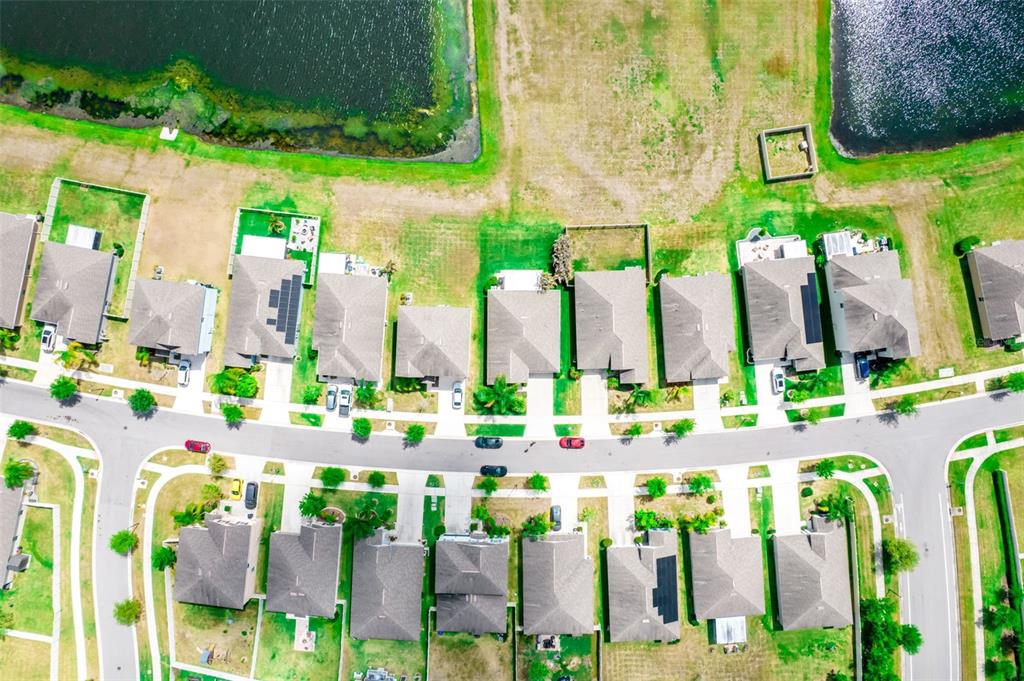 17132 White Mangrove Drive Wimauma, FL 33598 - Photo 34 of 39