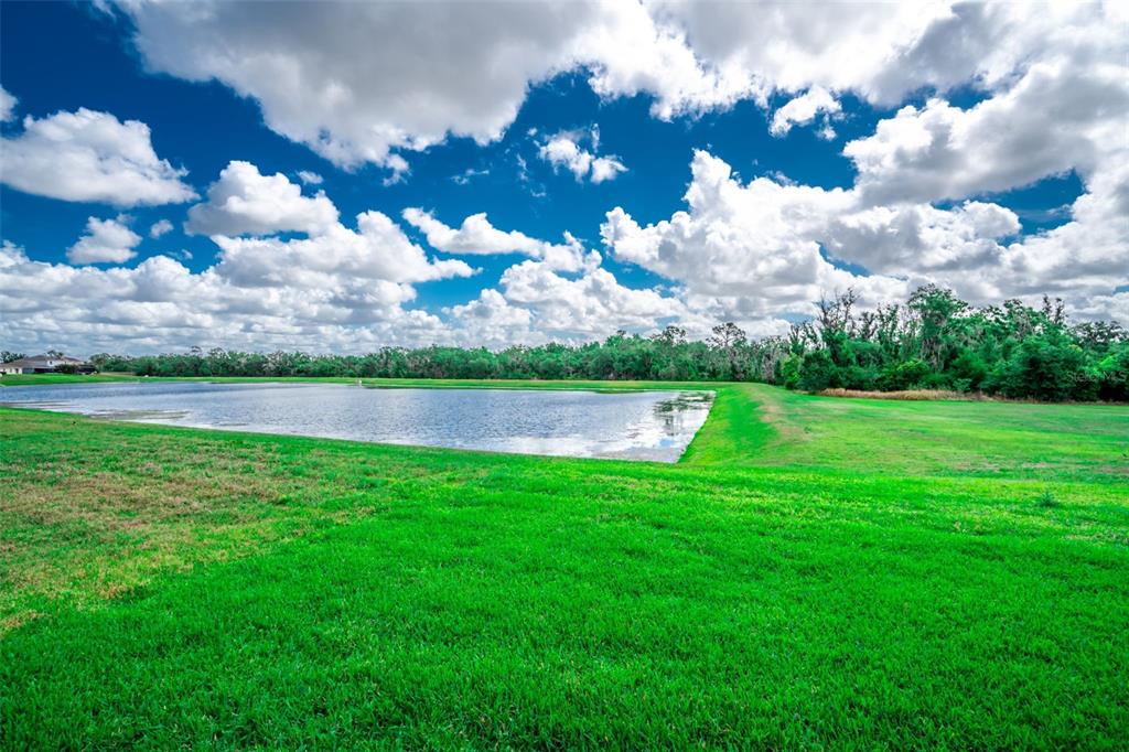 17132 White Mangrove Drive Wimauma, FL 33598 - Photo 35 of 39