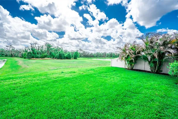 $315,000 | 17132 White Mangrove Drive, Wimauma, FL 33598