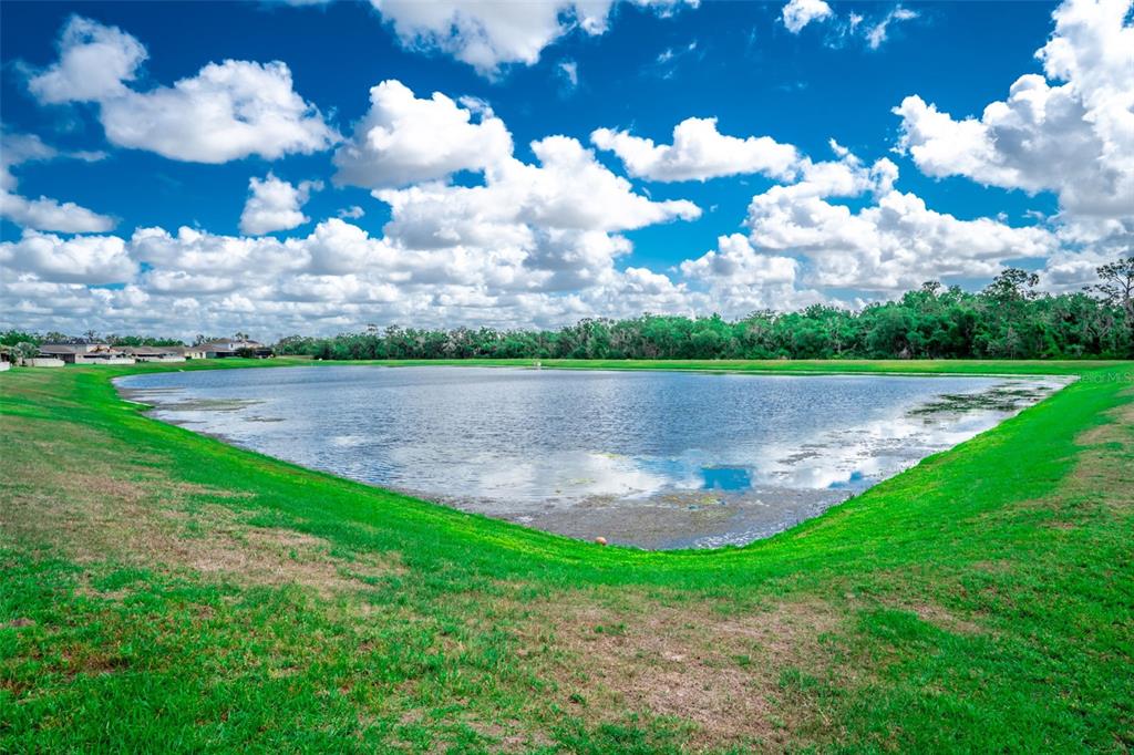 17132 White Mangrove Drive Wimauma, FL 33598 - Photo 38 of 39