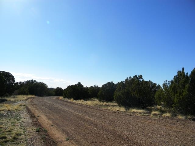 8297 Ridge Drive Show Low, AZ 85901 - Photo 6 of 36