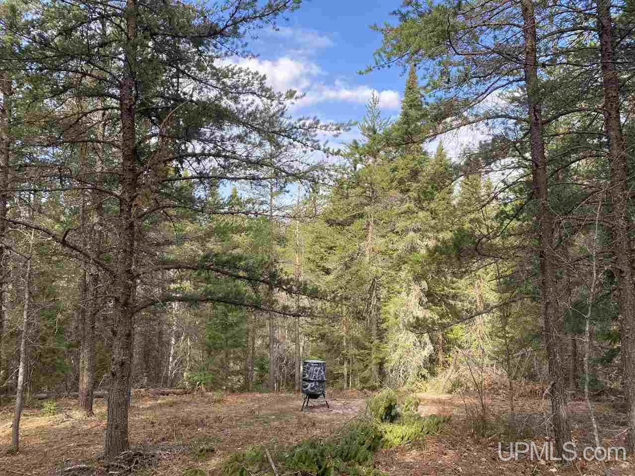 Tbd Tbd Co Road Negaunee, MI 49866 - Photo 4 of 40