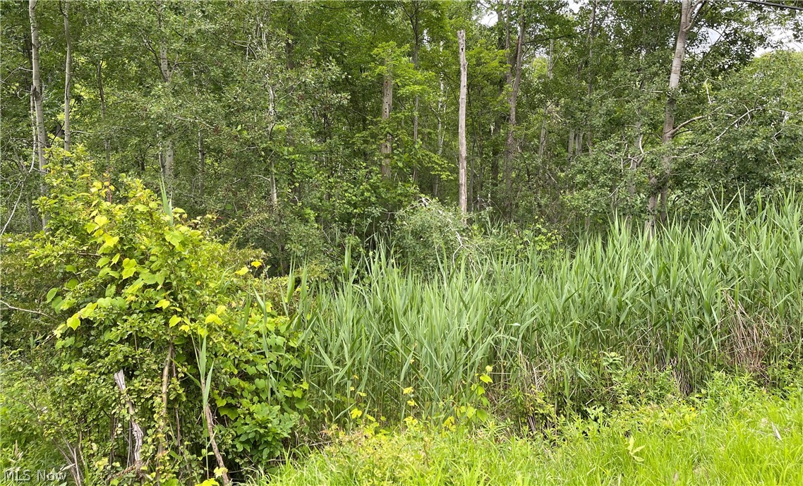 Pearl Road Chardon, OH 44024 - Photo 4 of 4