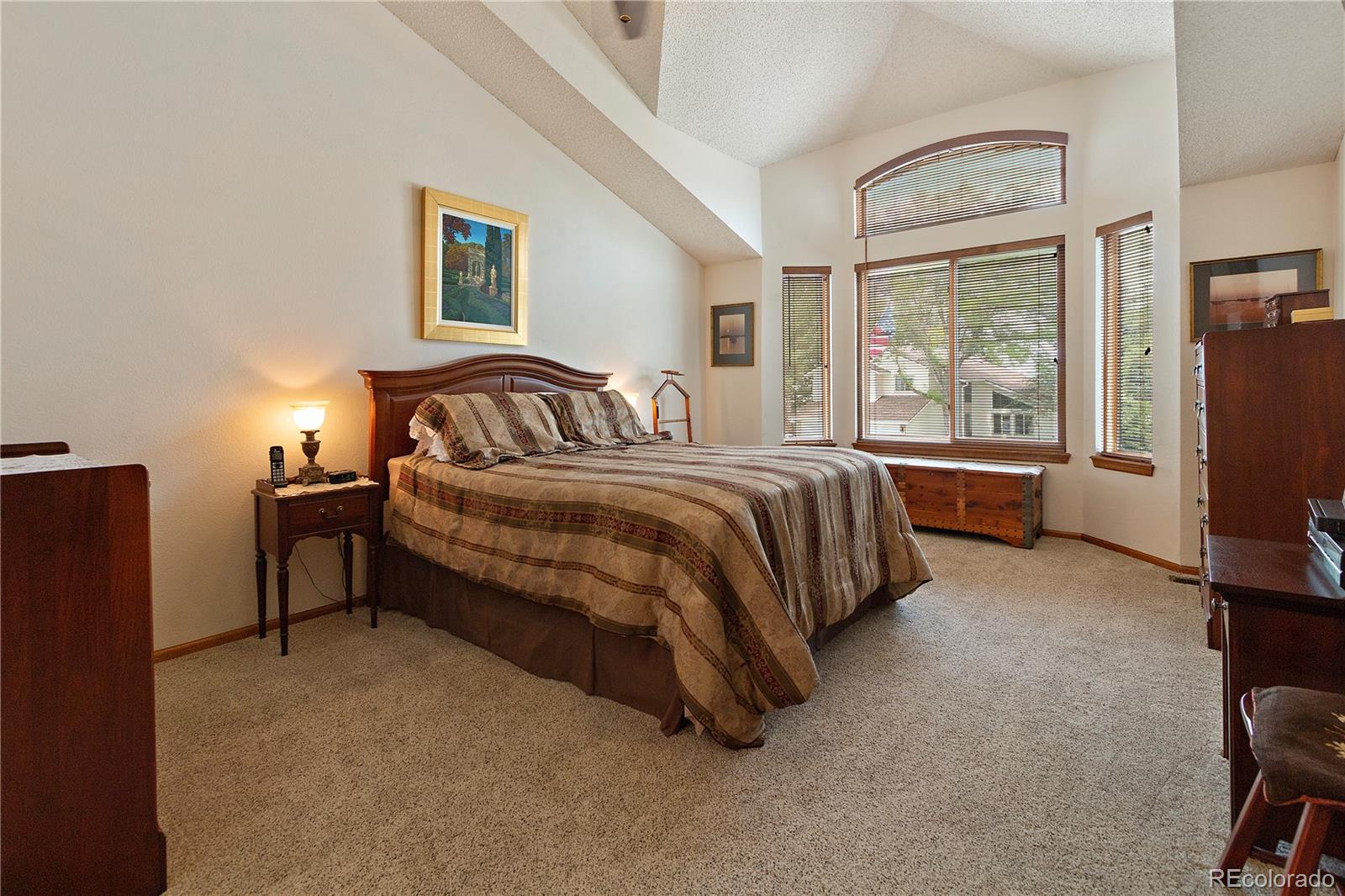 1682 Red Fox Place Highlands Ranch, CO 80126 - Photo 19 of 31 Gallery Image 19