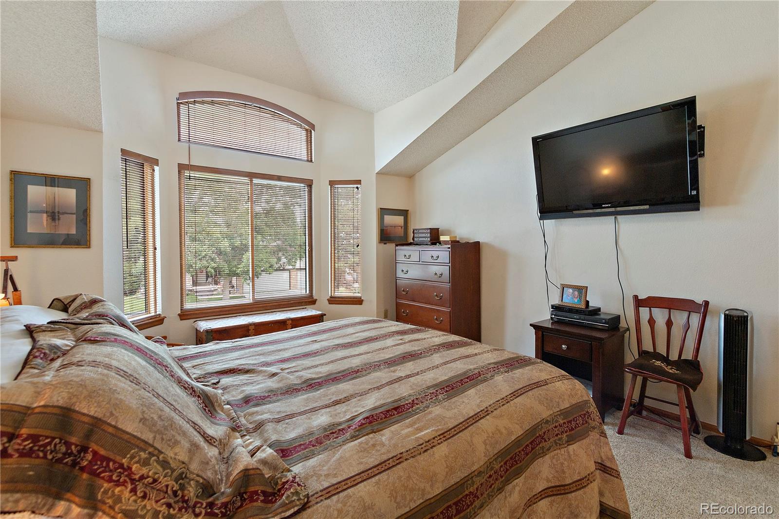 1682 Red Fox Place Highlands Ranch, CO 80126 - Photo 20 of 31 Gallery Image 20