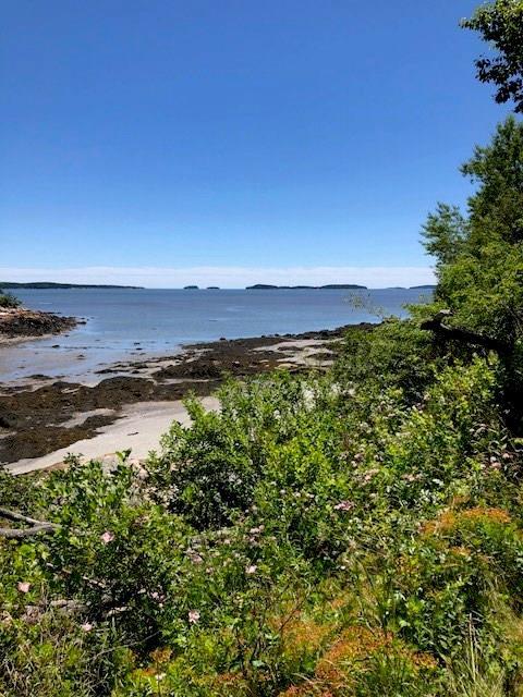 325 Ficketts Point Road Milbridge, ME 04658 - Photo 35 of 35 Claire's Cove which is on the drive...