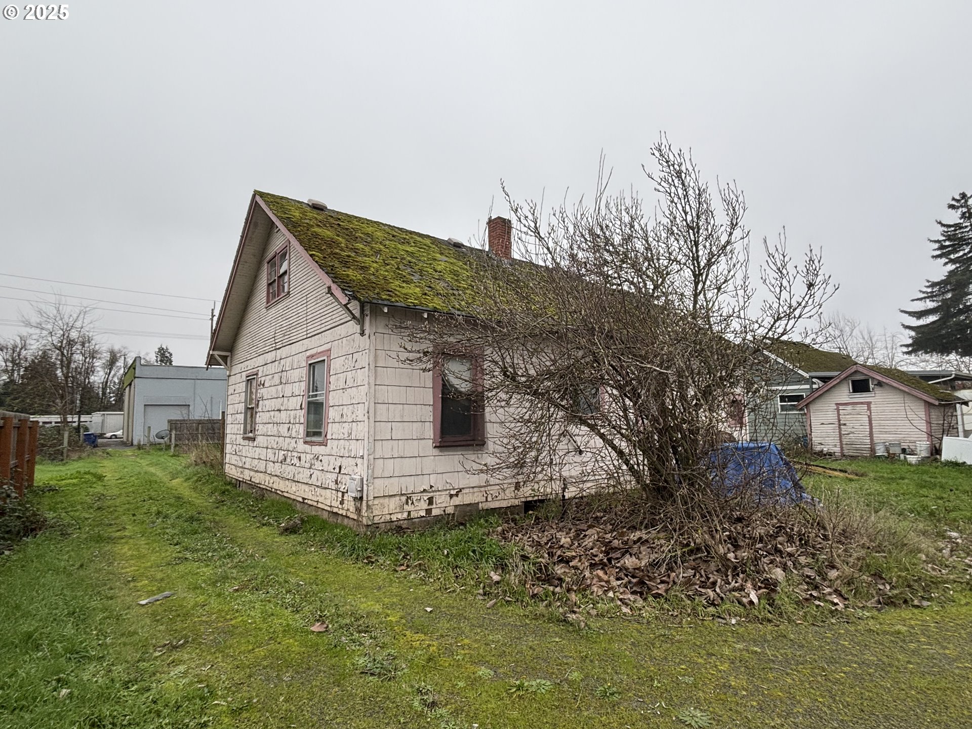 780 Q Street Springfield, OR 97477 - Photo 16 of 16