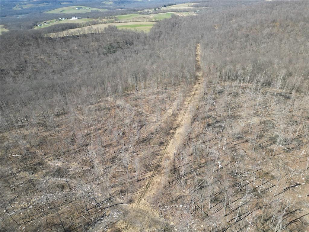 0 Mountain Road Mill Run, PA 15464 - Photo 3 of 18