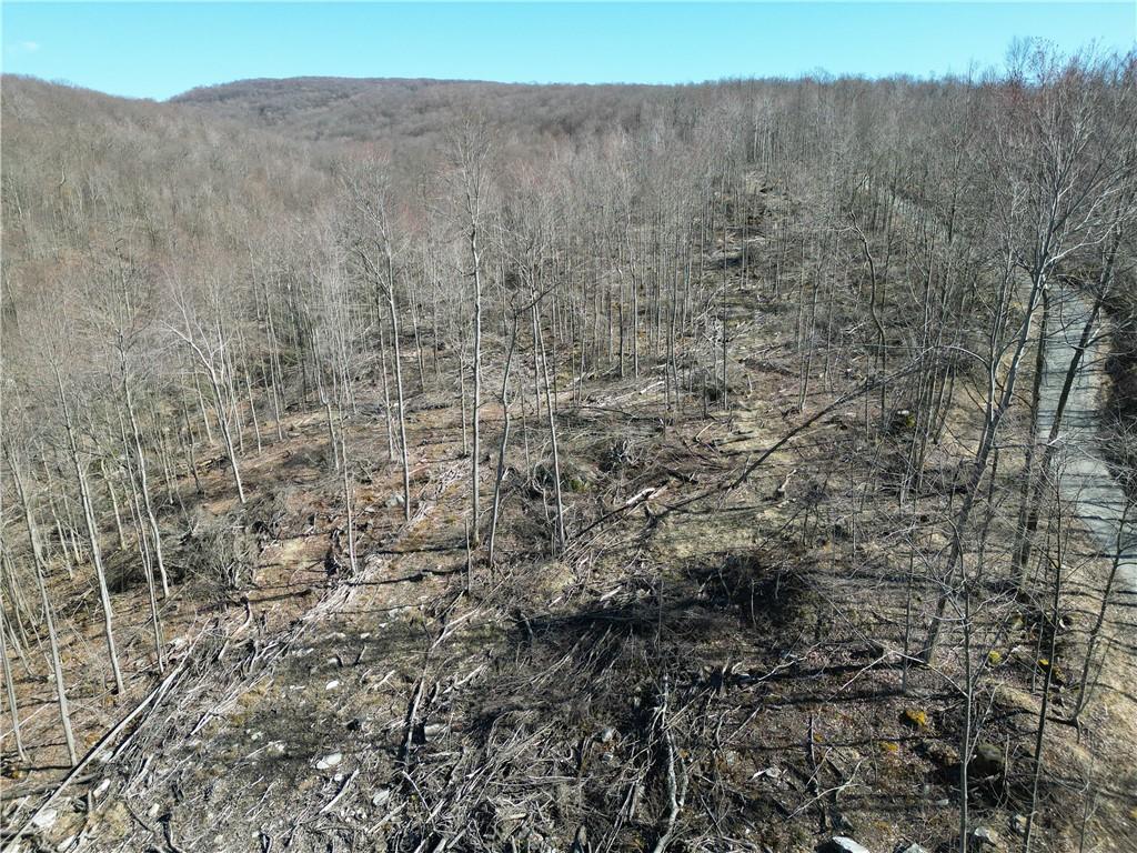 0 Mountain Road Mill Run, PA 15464 - Photo 7 of 18 a view of a dry yard with trees in the background