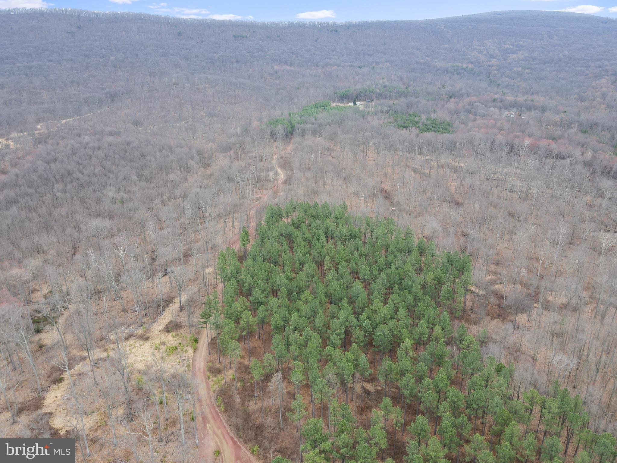 Rattlesnake Circle Berkeley Springs, WV 25411 - Photo 12 of 30