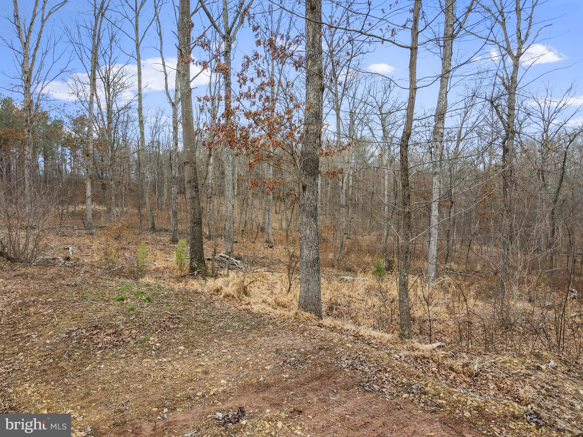 Rattlesnake Circle Berkeley Springs, WV 25411 - Photo 18 of 30