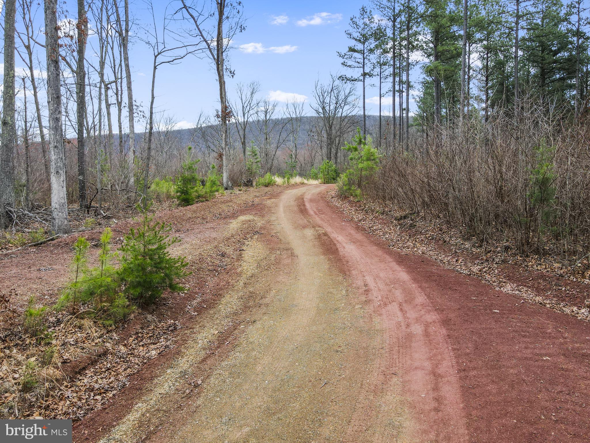 Rattlesnake Circle Berkeley Springs, WV 25411 - Photo 19 of 30