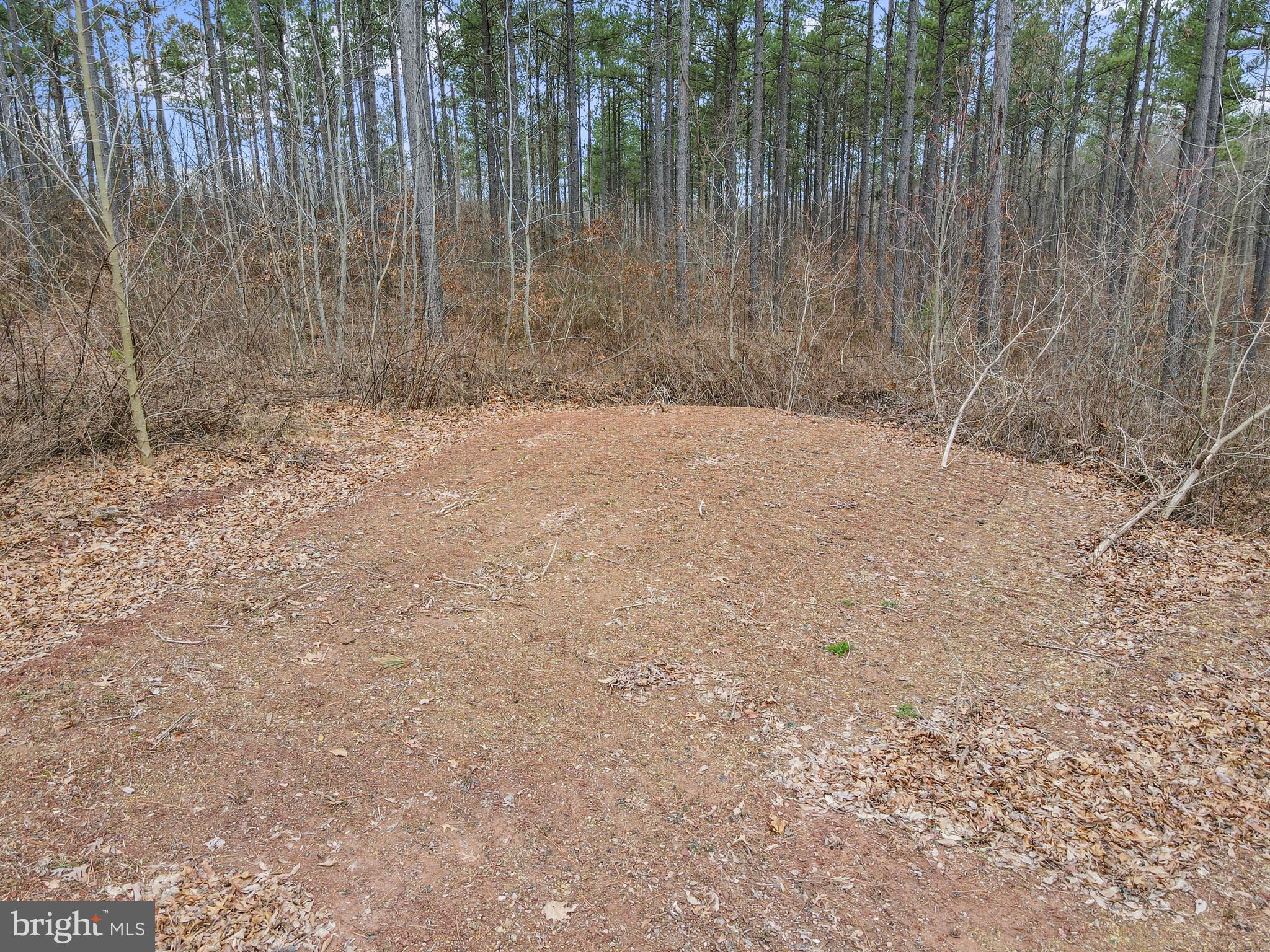 Rattlesnake Circle Berkeley Springs, WV 25411 - Photo 20 of 30