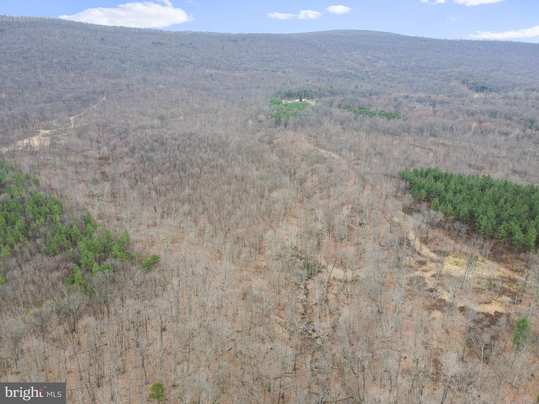 Rattlesnake Circle Berkeley Springs, WV 25411 - Photo 2 of 30