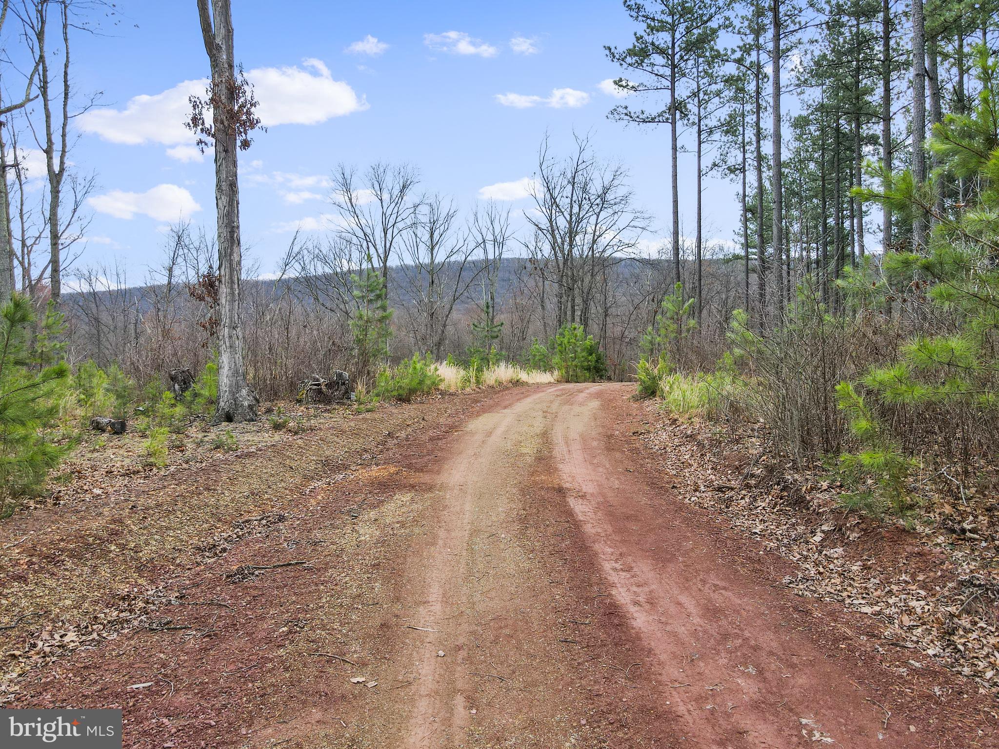 Rattlesnake Circle Berkeley Springs, WV 25411 - Photo 21 of 30