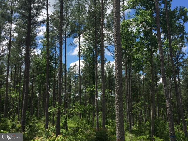 Rattlesnake Circle Berkeley Springs, WV 25411 - Photo 22 of 30