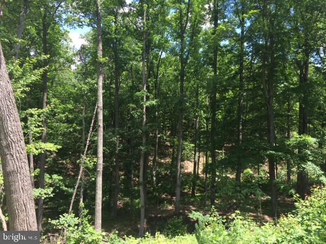 Rattlesnake Circle Berkeley Springs, WV 25411 - Photo 23 of 30