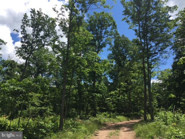 Rattlesnake Circle Berkeley Springs, WV 25411 - Photo 24 of 30
