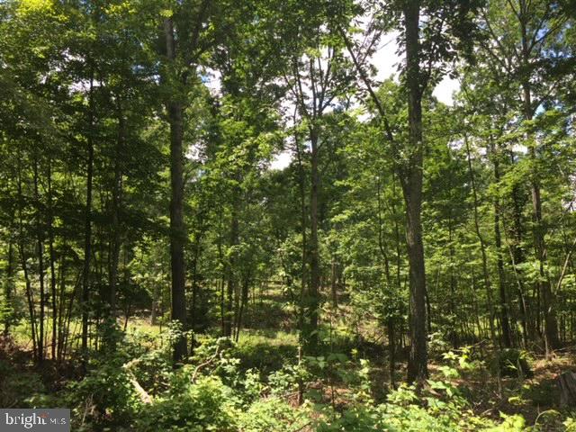 Rattlesnake Circle Berkeley Springs, WV 25411 - Photo 25 of 30