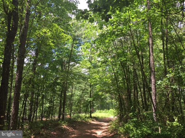Rattlesnake Circle Berkeley Springs, WV 25411 - Photo 26 of 30