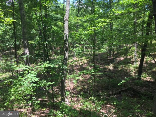 Rattlesnake Circle Berkeley Springs, WV 25411 - Photo 27 of 30