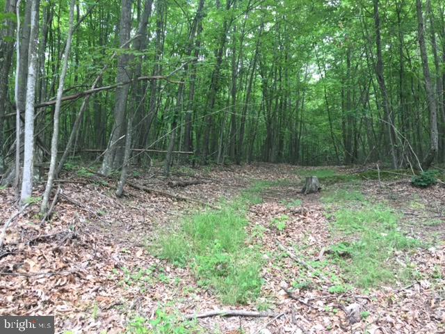 Rattlesnake Circle Berkeley Springs, WV 25411 - Photo 28 of 30