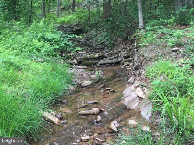 Rattlesnake Circle Berkeley Springs, WV 25411 - Photo 29 of 30
