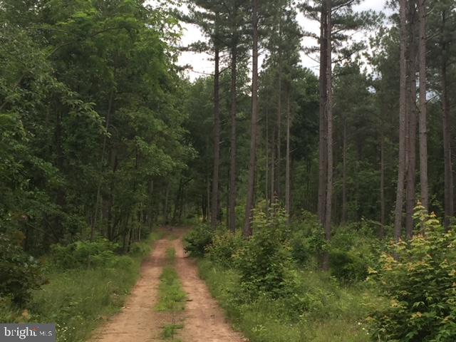 Rattlesnake Circle Berkeley Springs, WV 25411 - Photo 30 of 30