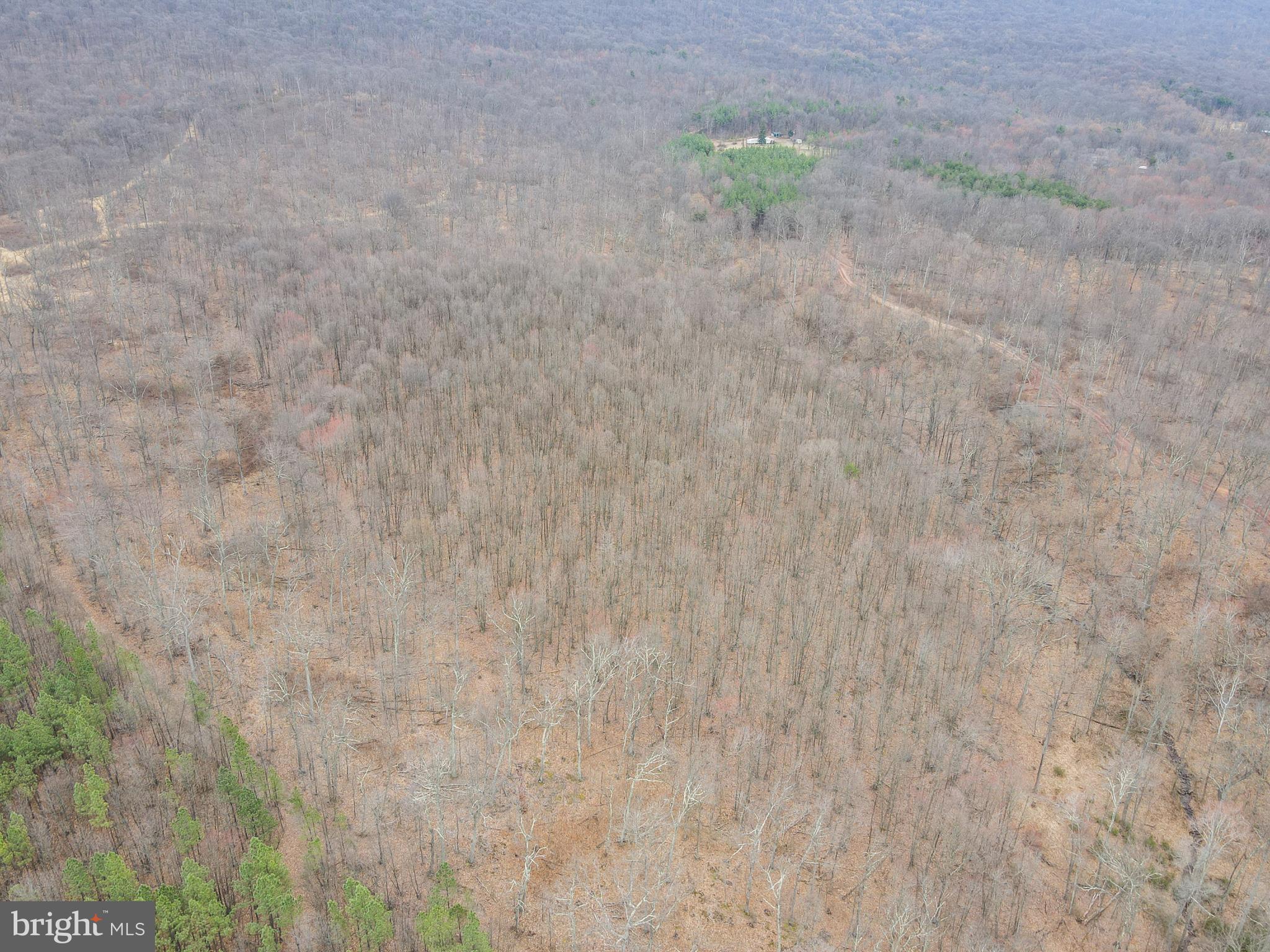 Rattlesnake Circle Berkeley Springs, WV 25411 - Photo 3 of 30