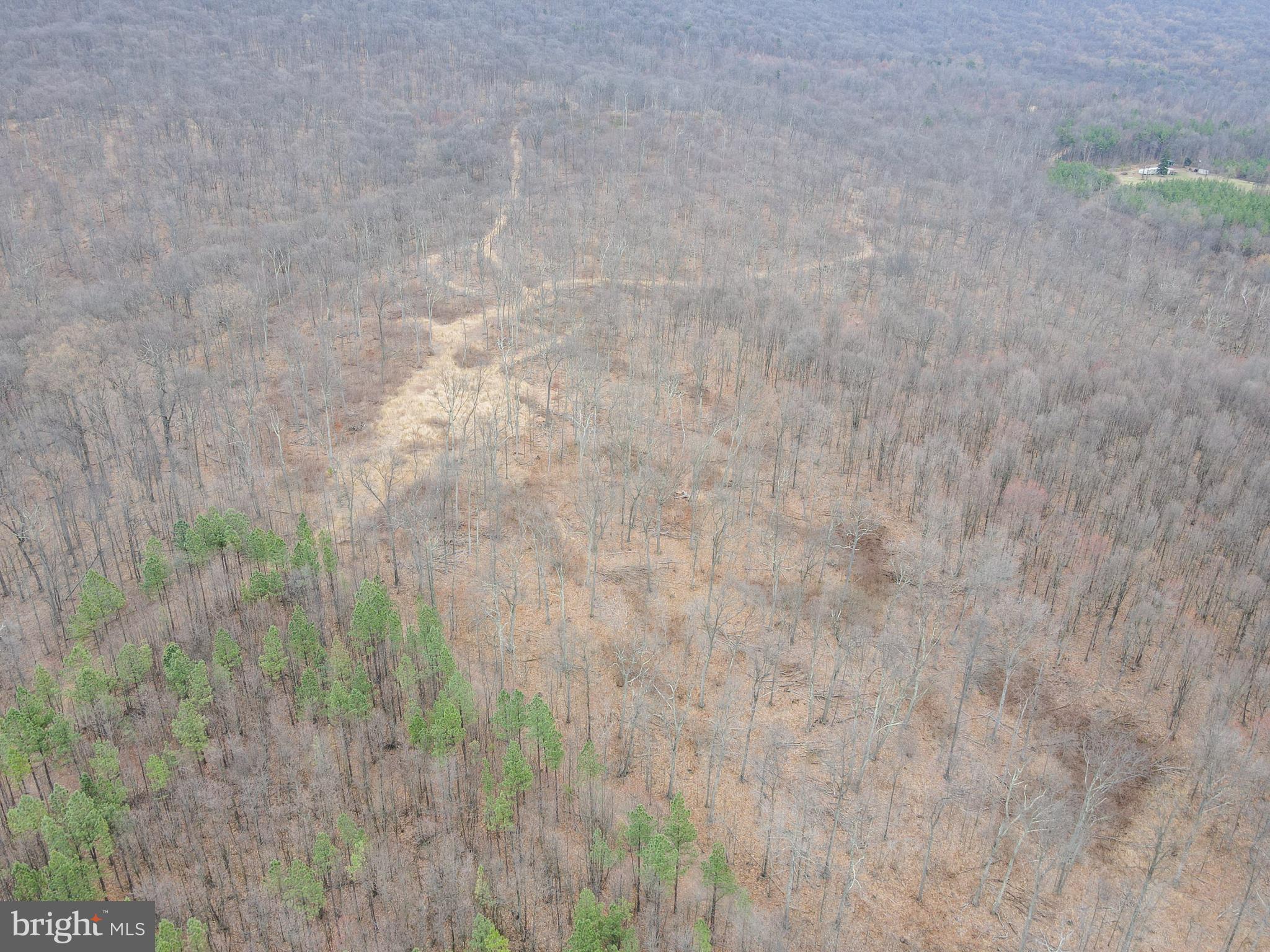 Rattlesnake Circle Berkeley Springs, WV 25411 - Photo 4 of 30