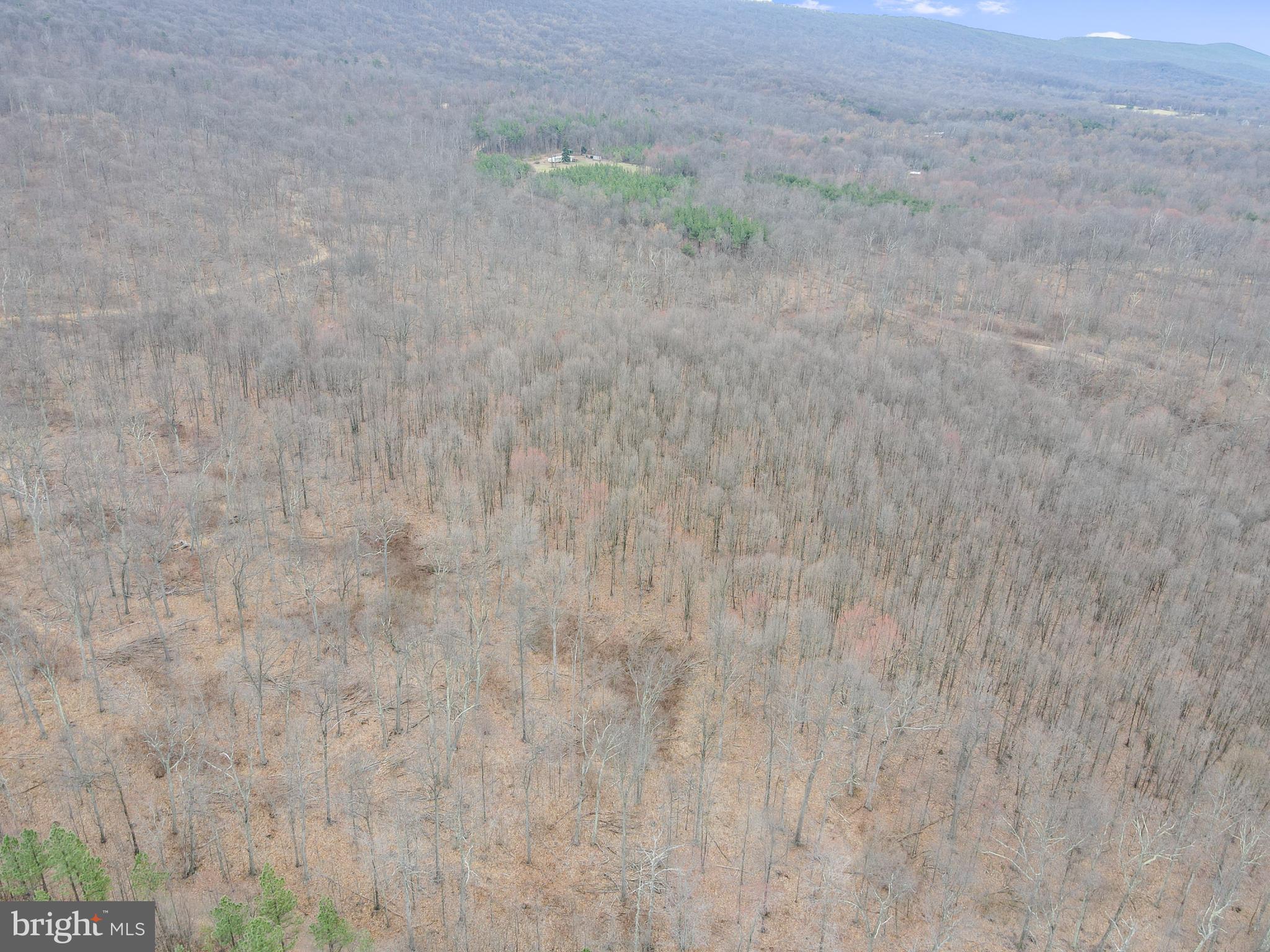 Rattlesnake Circle Berkeley Springs, WV 25411 - Photo 5 of 30