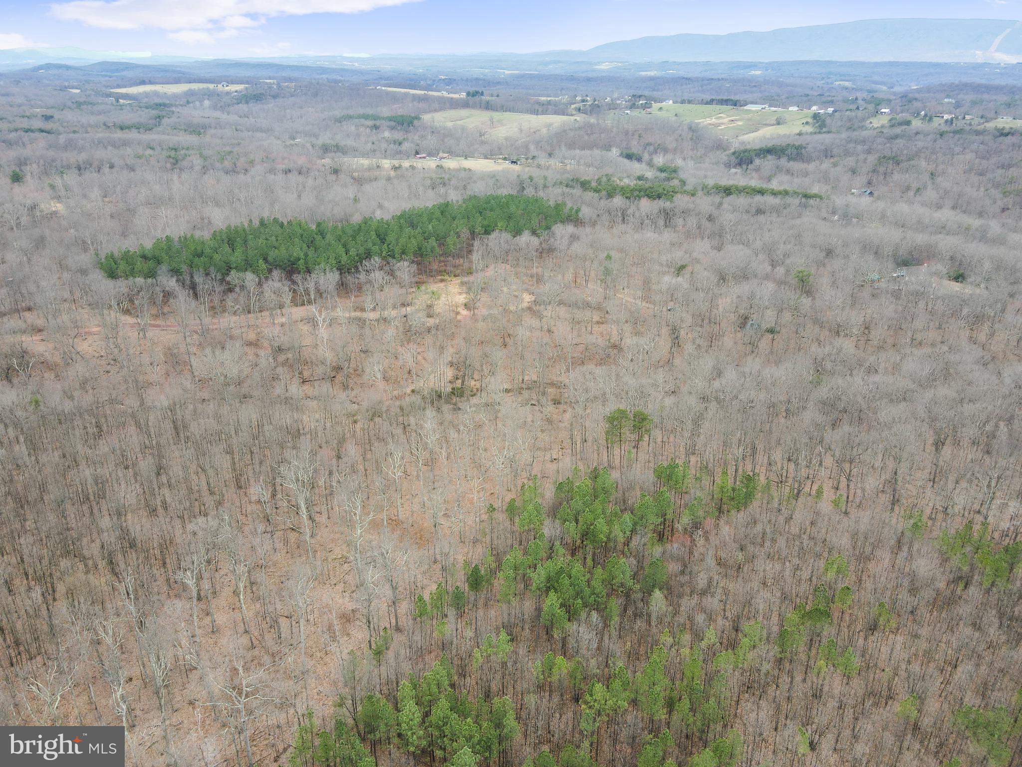 Rattlesnake Circle Berkeley Springs, WV 25411 - Photo 6 of 30