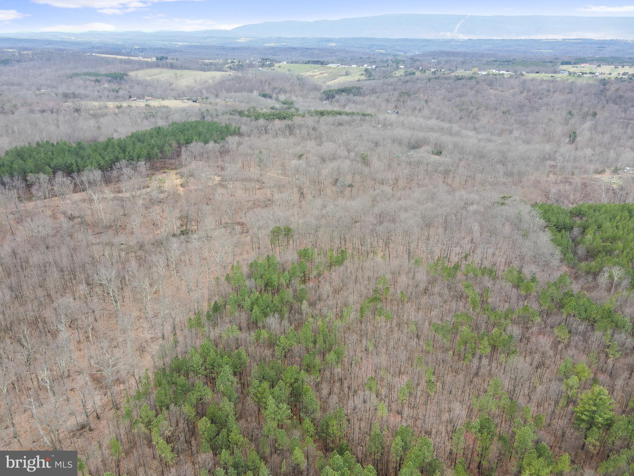 Rattlesnake Circle Berkeley Springs, WV 25411 - Photo 7 of 30