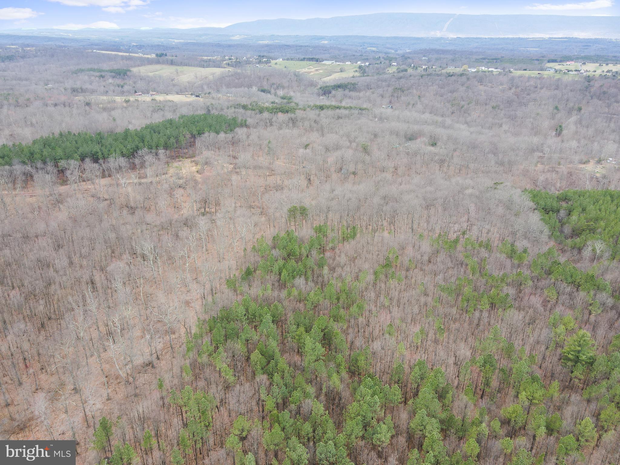 Rattlesnake Circle Berkeley Springs, WV 25411 - Photo 8 of 30