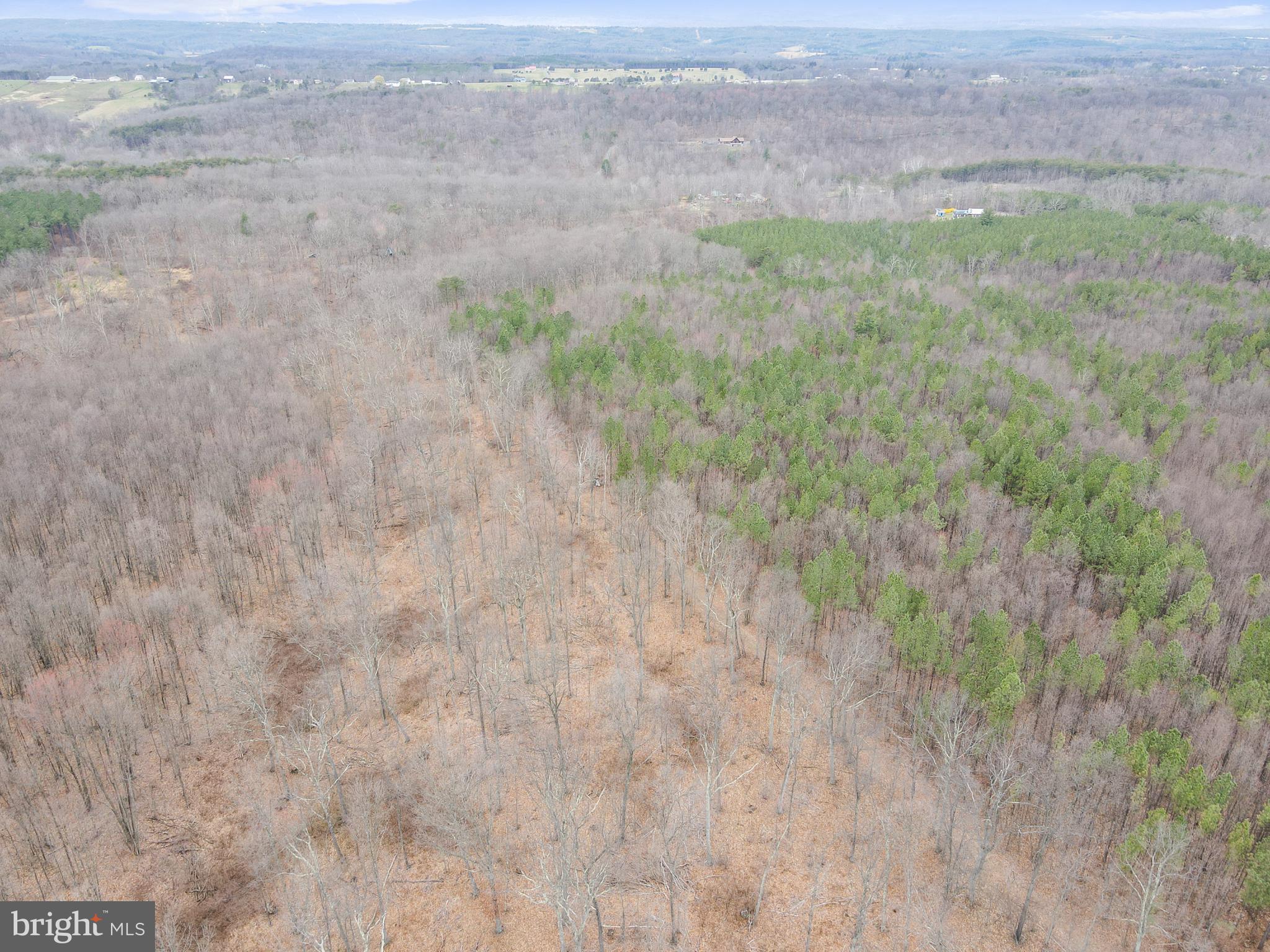 Rattlesnake Circle Berkeley Springs, WV 25411 - Photo 9 of 30