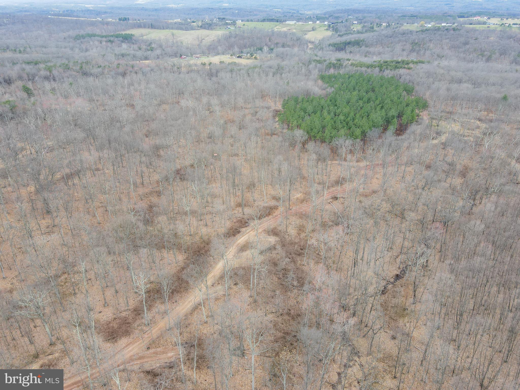 Rattlesnake Circle Berkeley Springs, WV 25411 - Photo 10 of 30