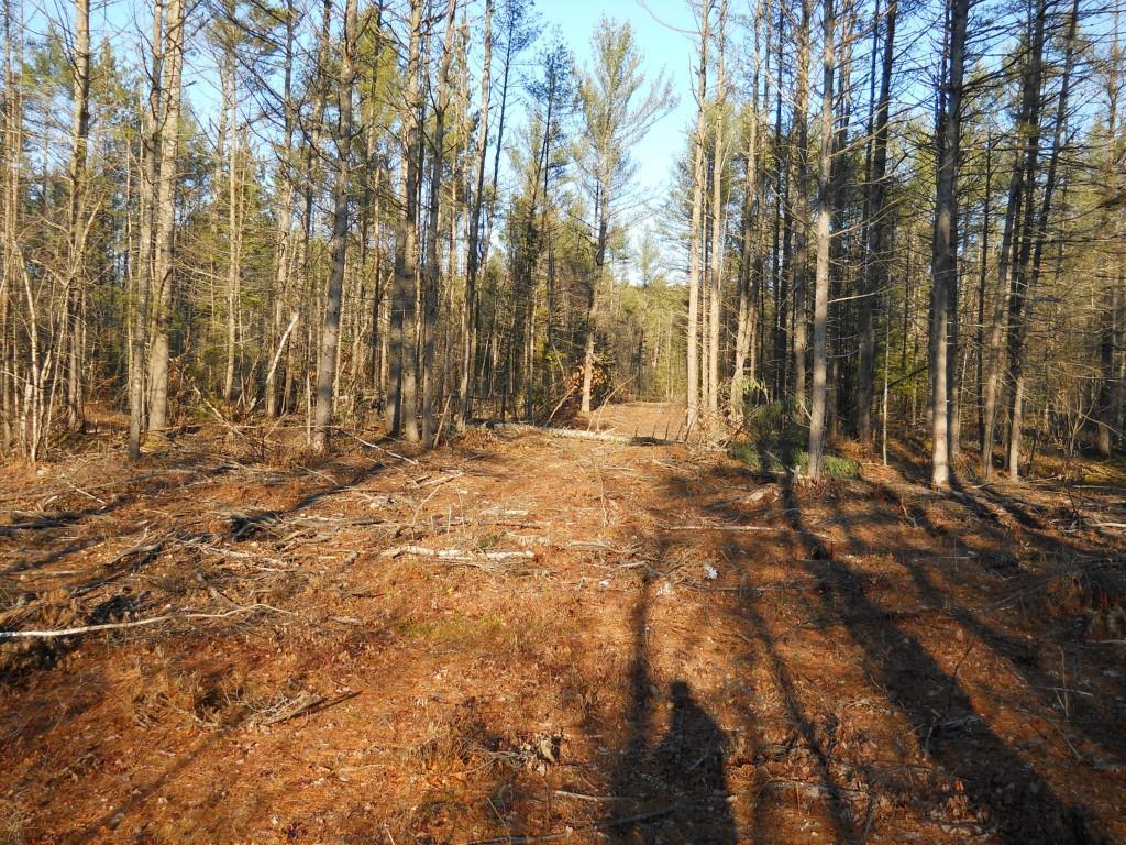 0 Old County Road Porter, ME 04068 - Photo 1 of 3 Photo