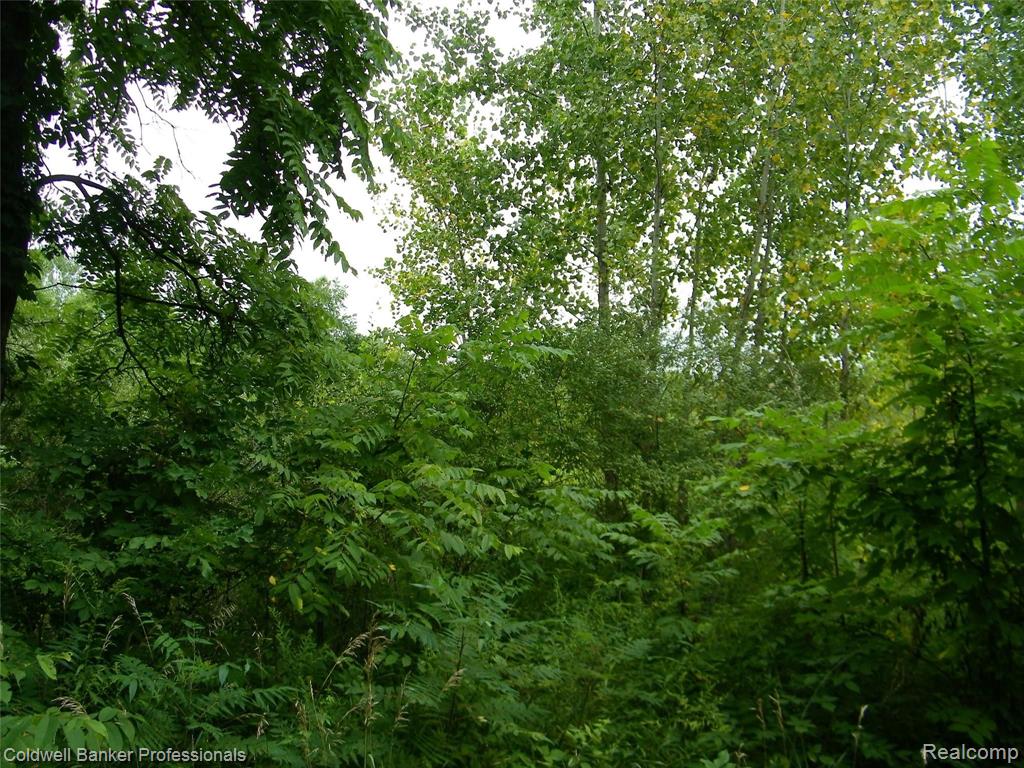 Vacant Bohlman Road Dryden, MI 48428 - Photo 6 of 8